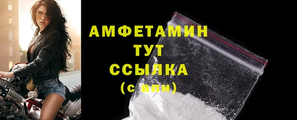 шишки Осинники