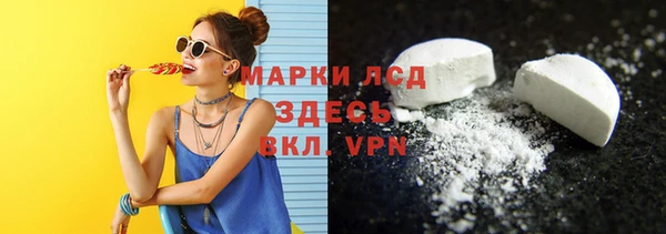 стафф Осташков