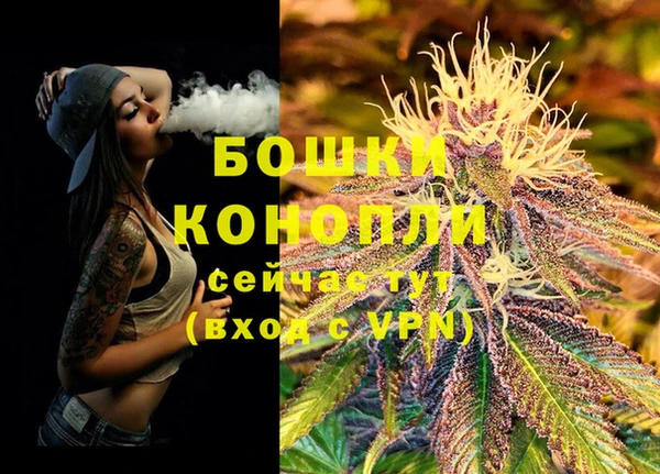 стаф Белокуриха