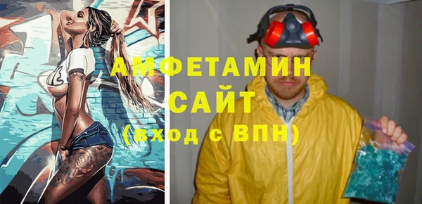 шишки Осинники