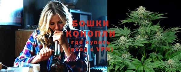 стаф Беломорск