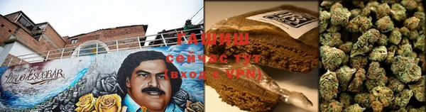 стаф Белокуриха