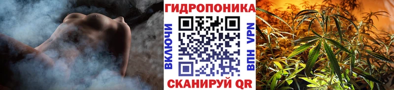 Конопля VHQ Камызяк